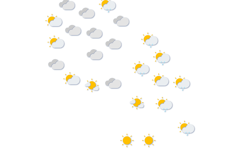 Forecast