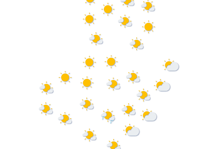 Forecast