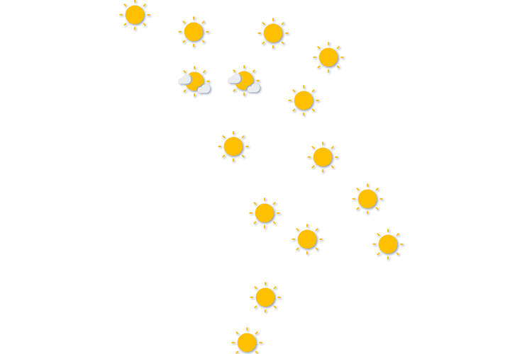 Forecast