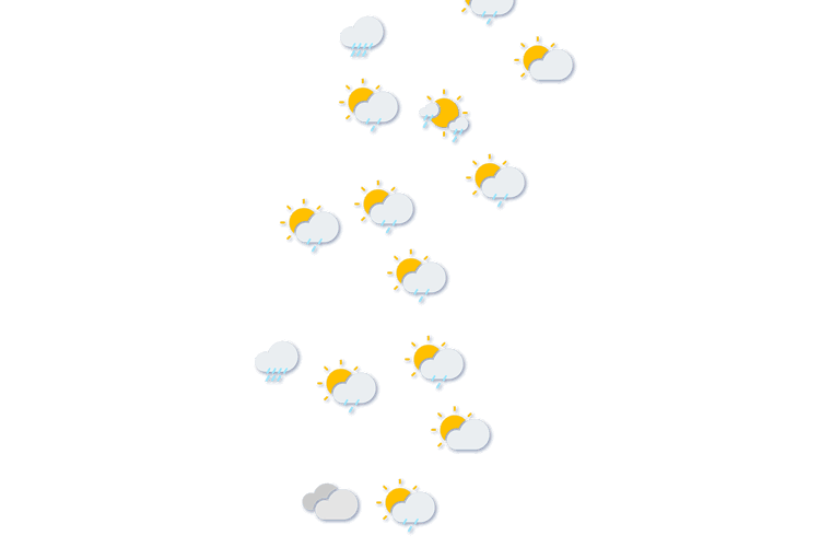 Forecast