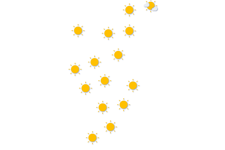 Forecast