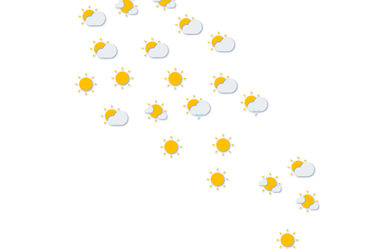 Forecast