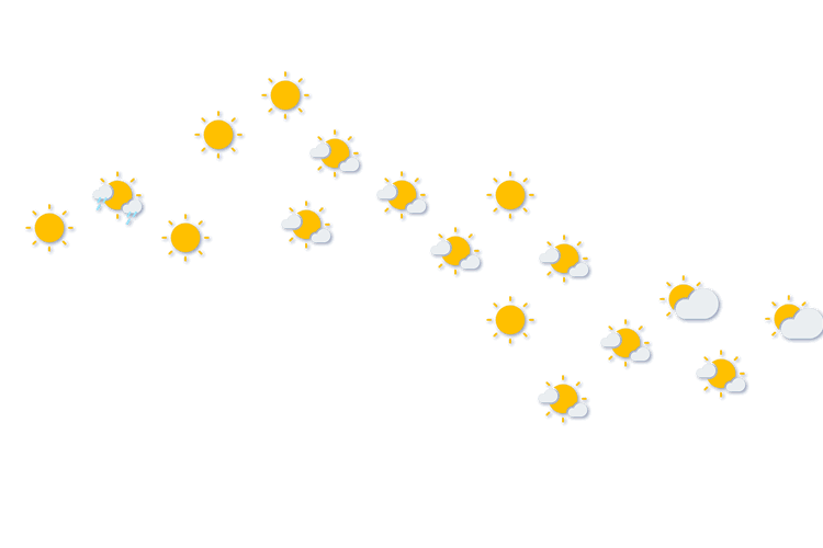 Forecast