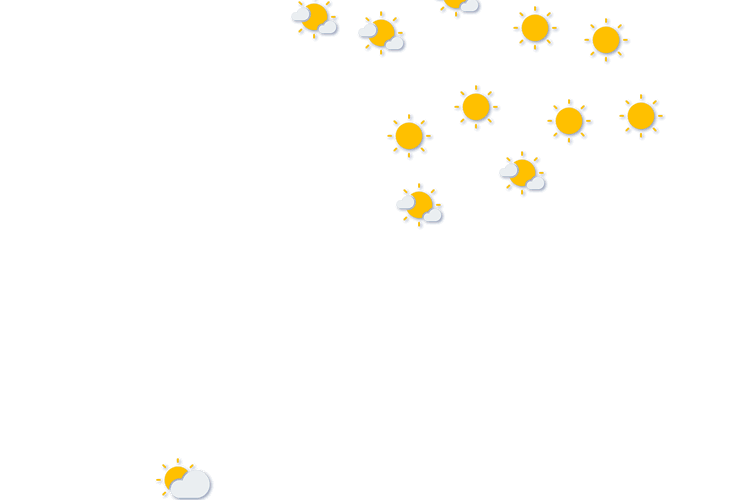 Forecast