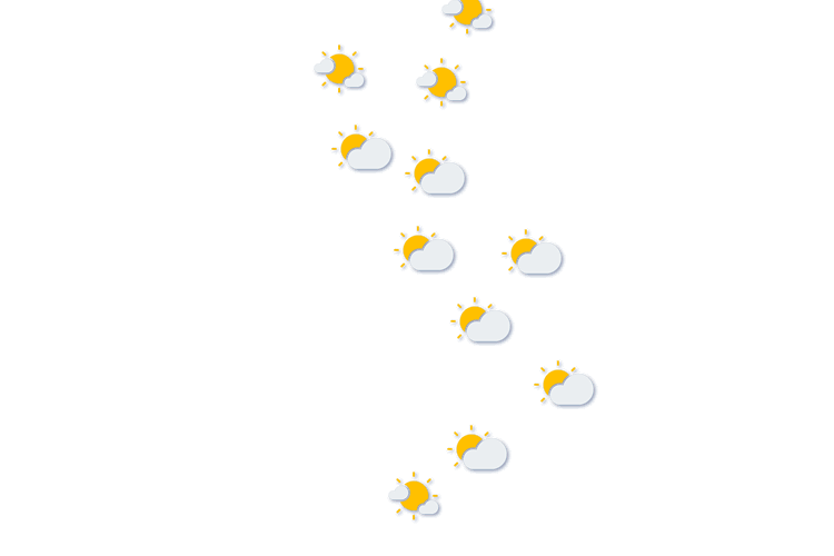 Forecast