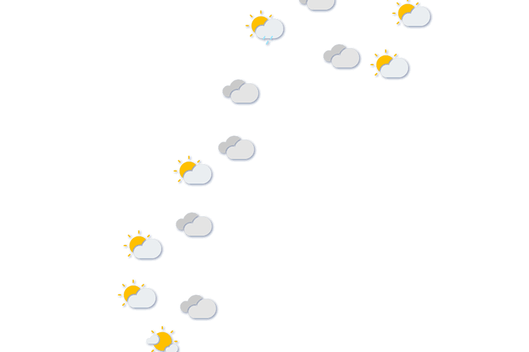 Forecast