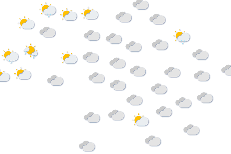 Forecast