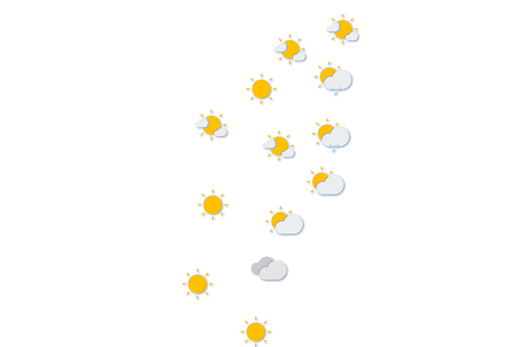Forecast