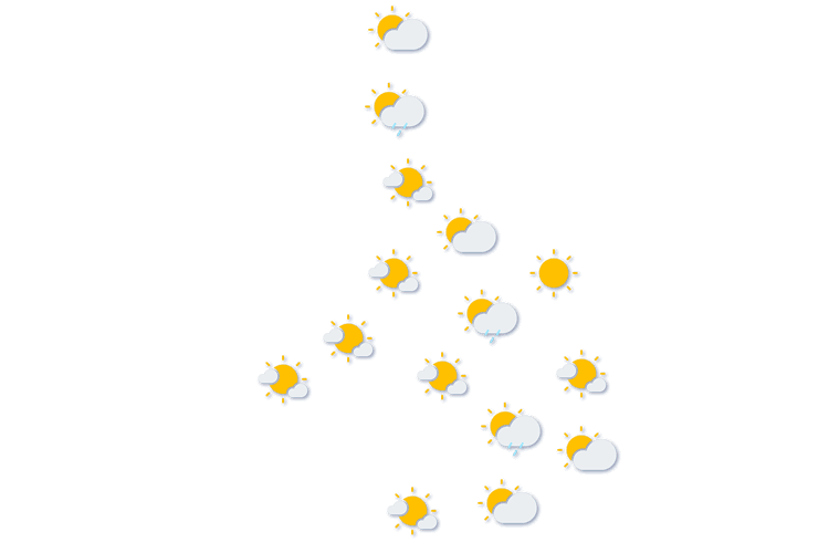 Forecast