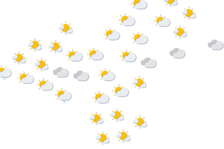 Forecast