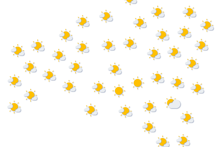 Forecast