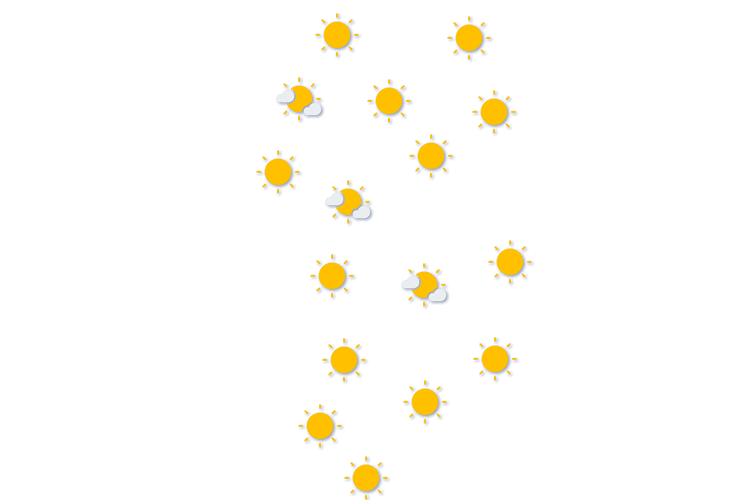 Forecast