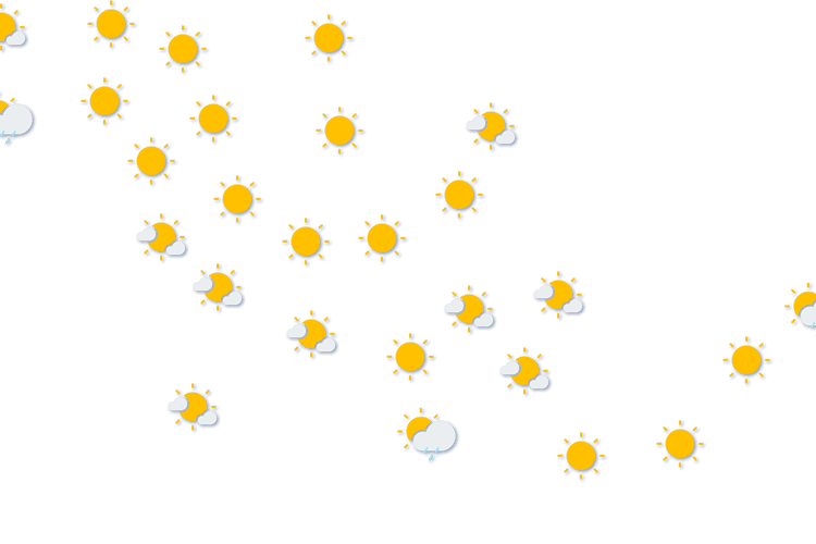 Forecast