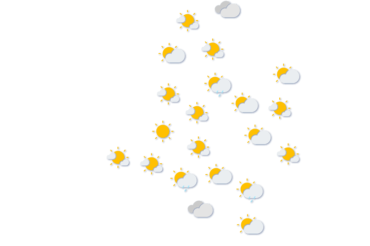 Forecast