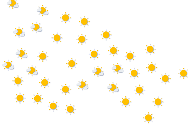 Forecast