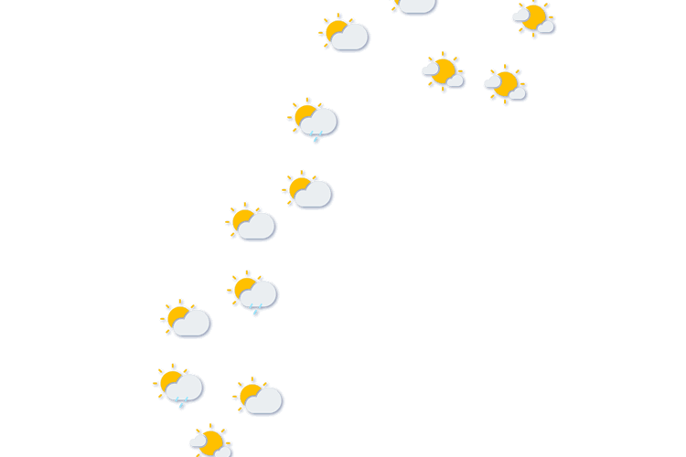 Forecast