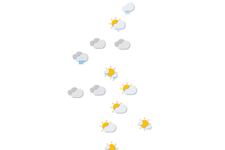 Forecast