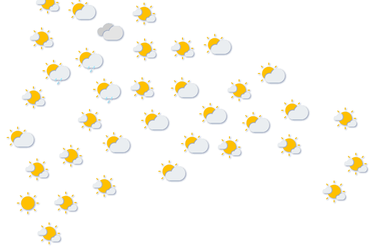 Forecast