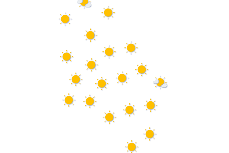 Forecast