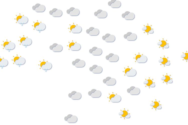 Forecast