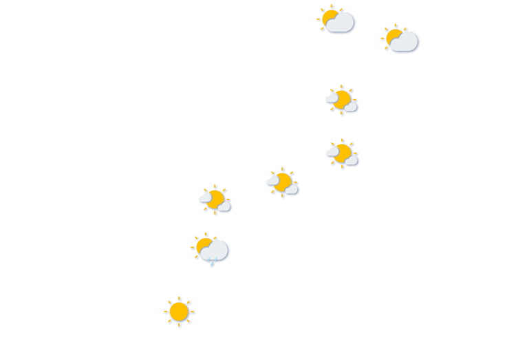 Forecast