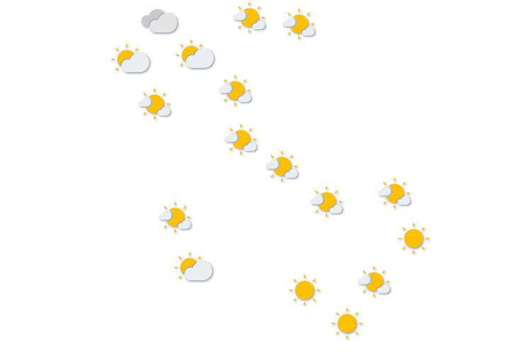Forecast