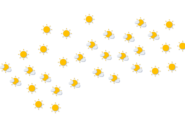 Forecast
