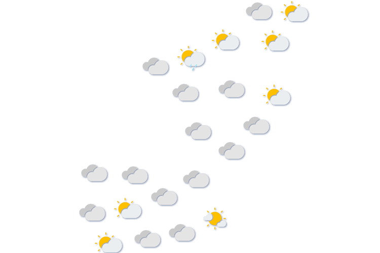 Forecast
