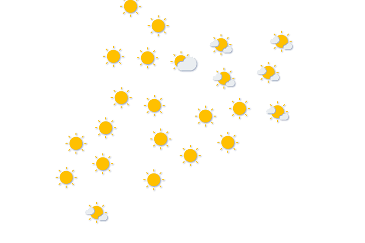 Forecast