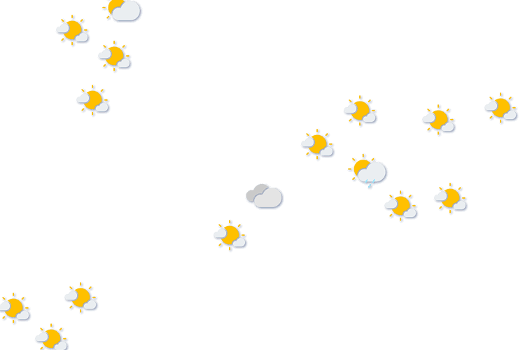 Forecast