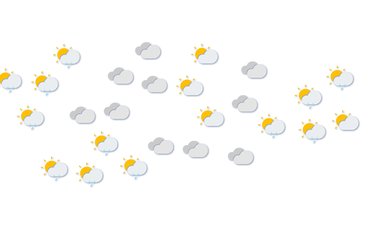 Forecast