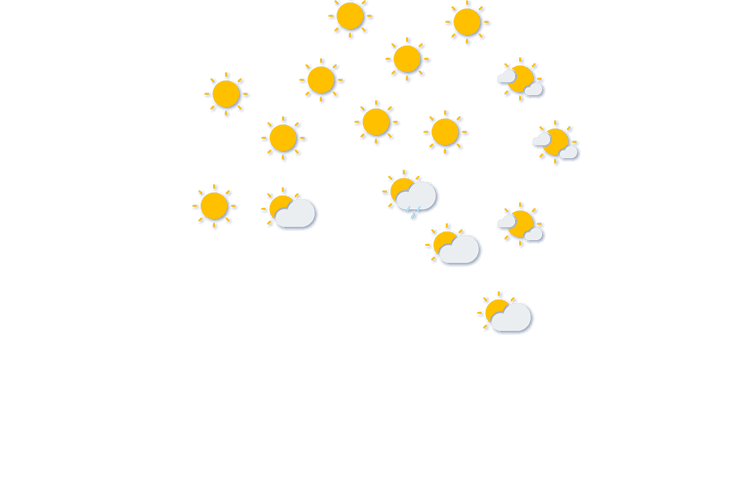 Forecast