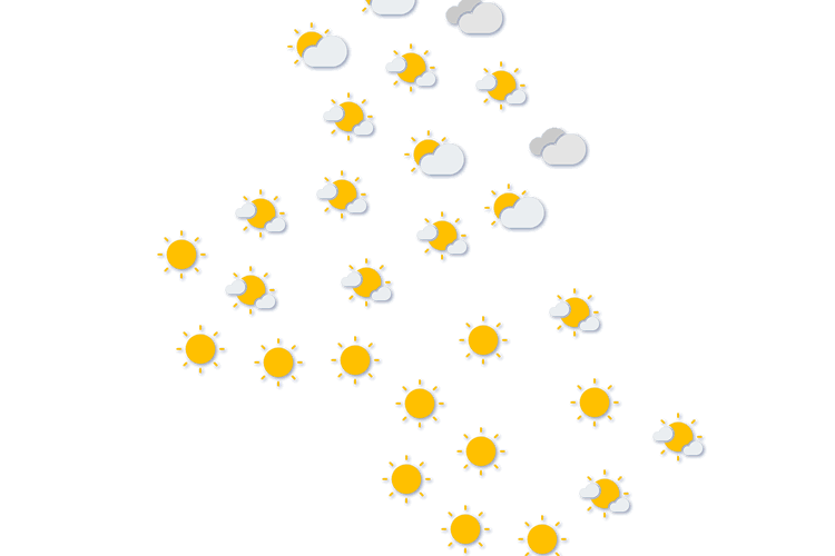 Forecast