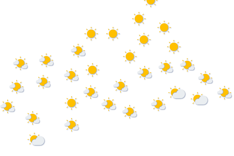 Forecast