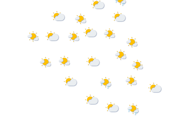 Forecast
