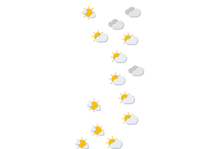 Forecast