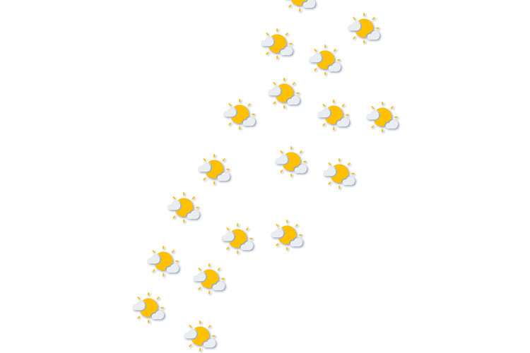 Forecast
