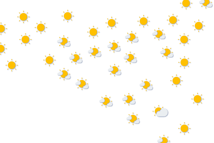 Forecast