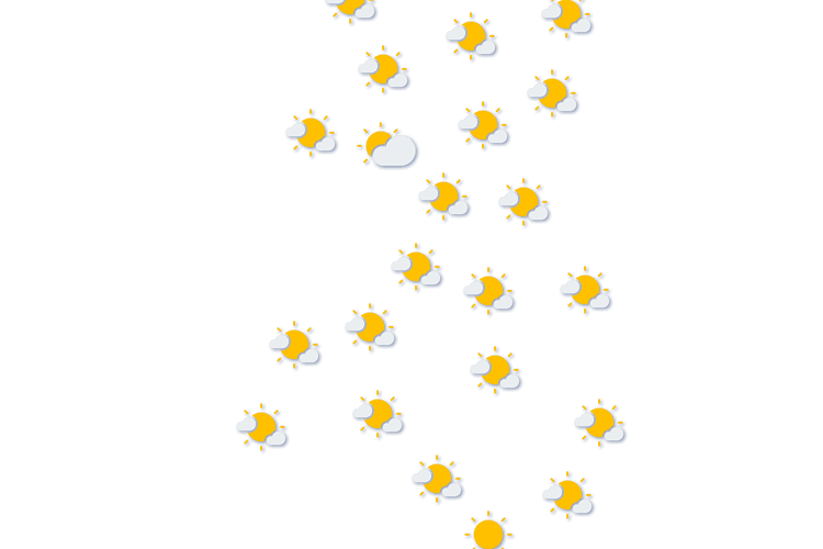 Forecast