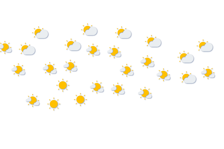 Forecast