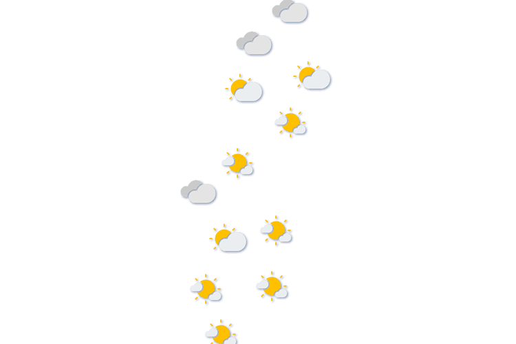 Forecast