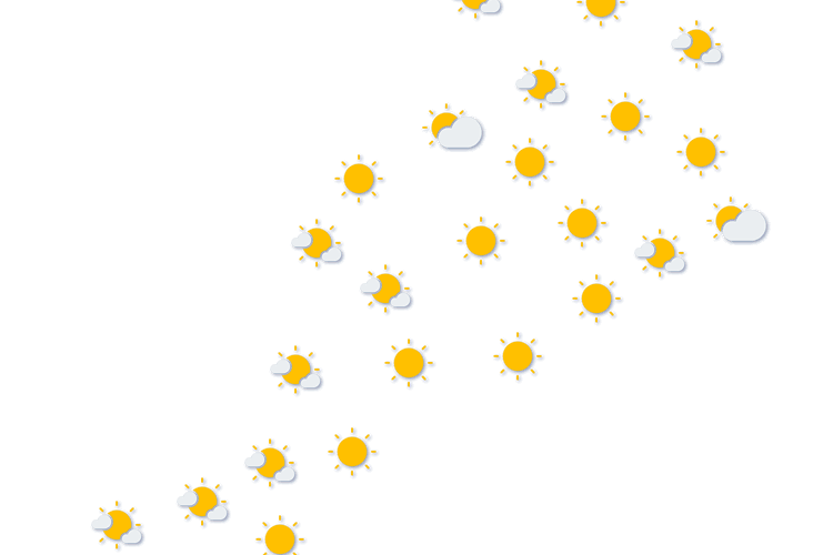 Forecast