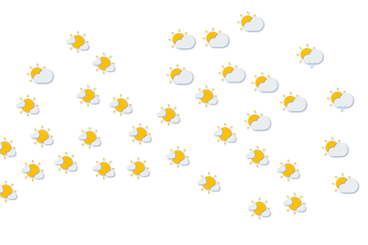 Forecast