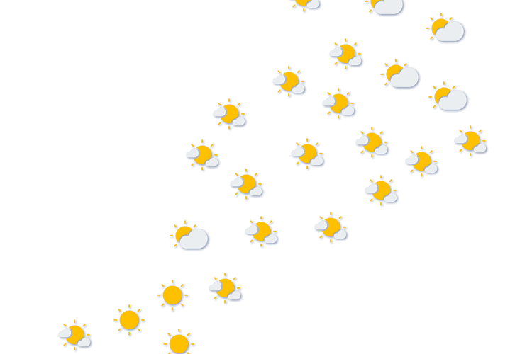 Forecast