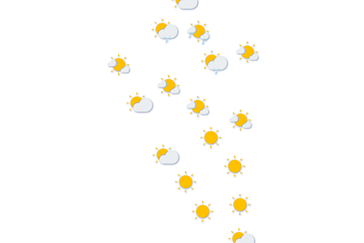 Forecast