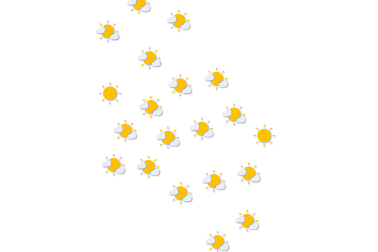 Forecast