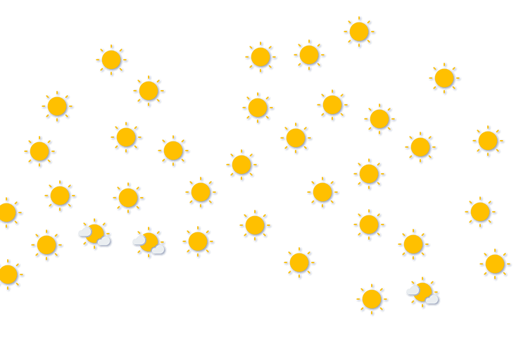 Forecast