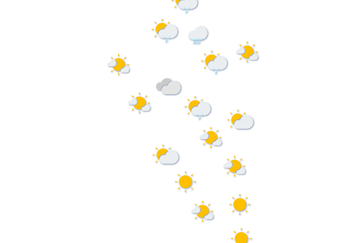 Forecast