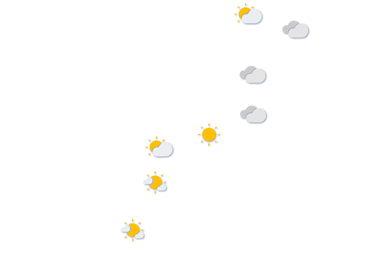 Forecast