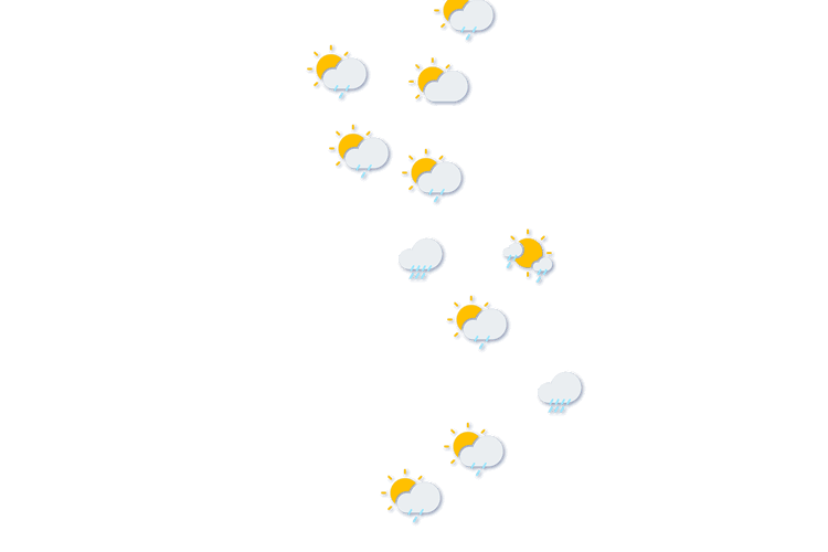 Forecast
